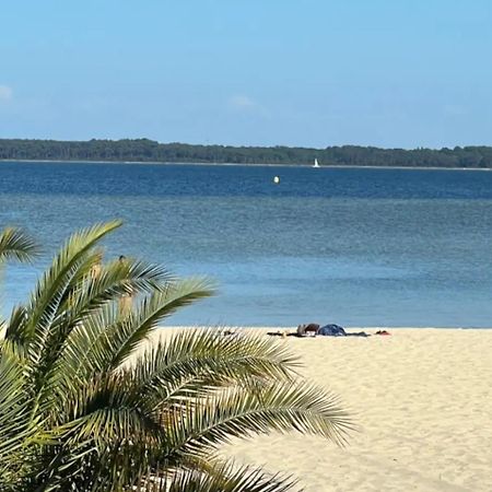 Chalet Et Jaccuzy Sur La Plage Biscarrosse Esterno foto